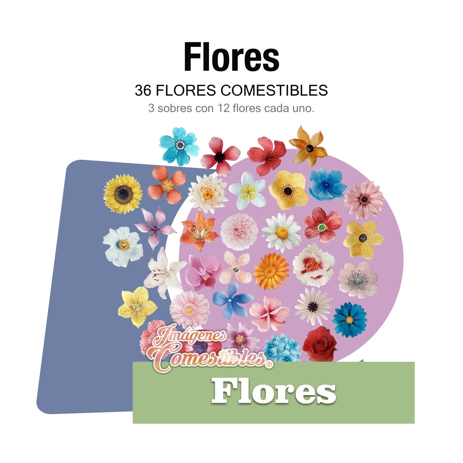 36 Flores