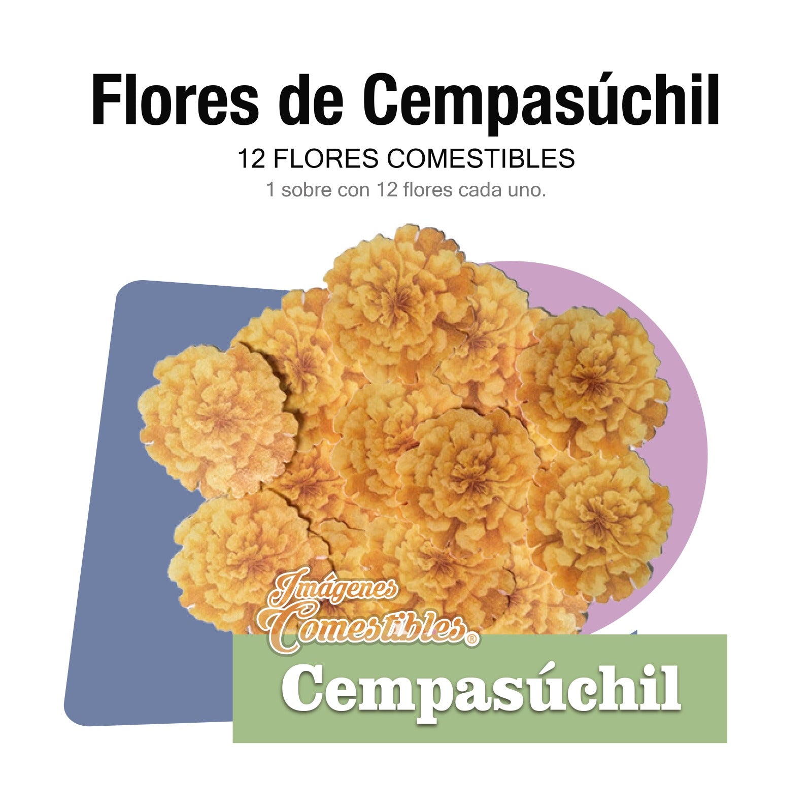 12 flores de cempasúchil