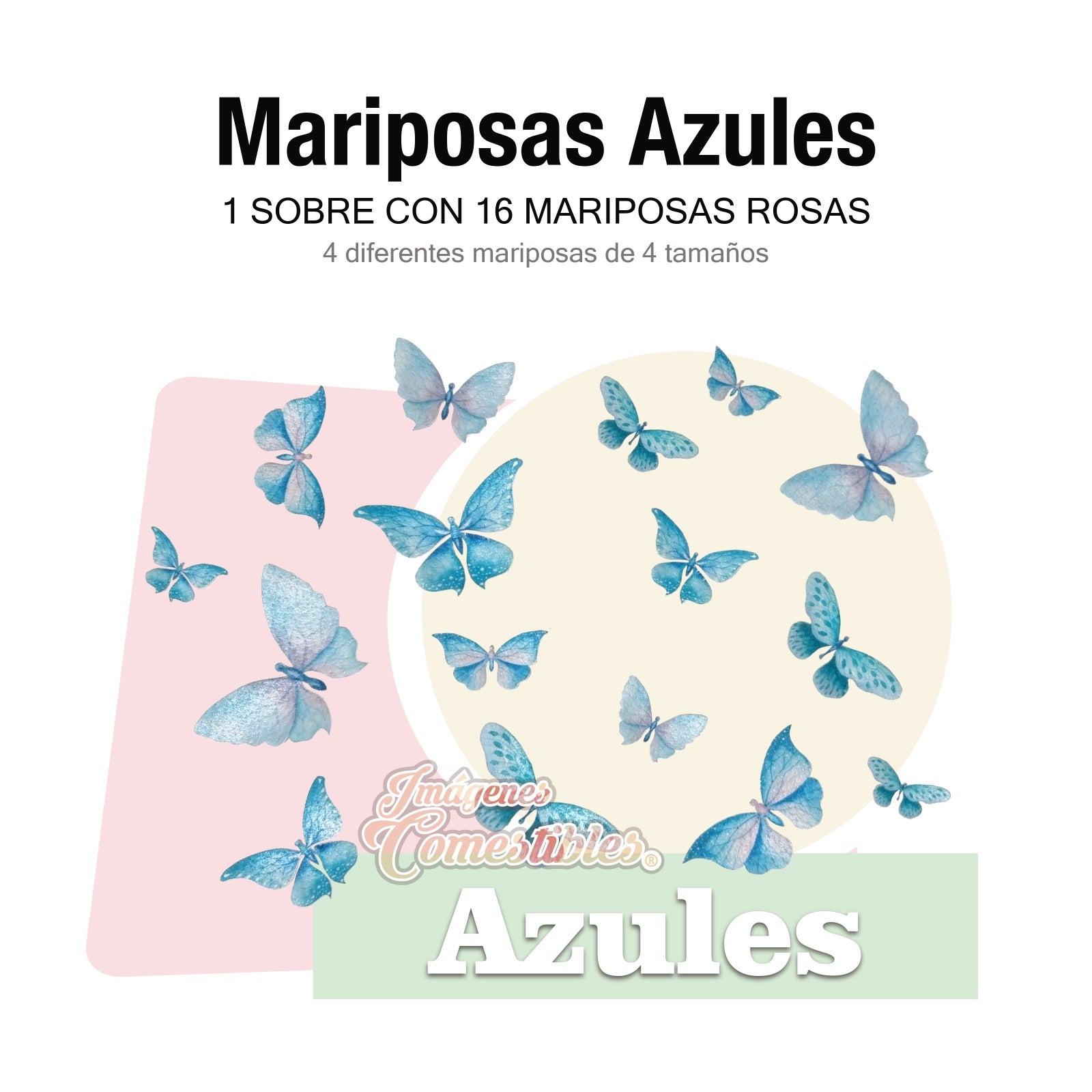 16 mariposas diferentes colores