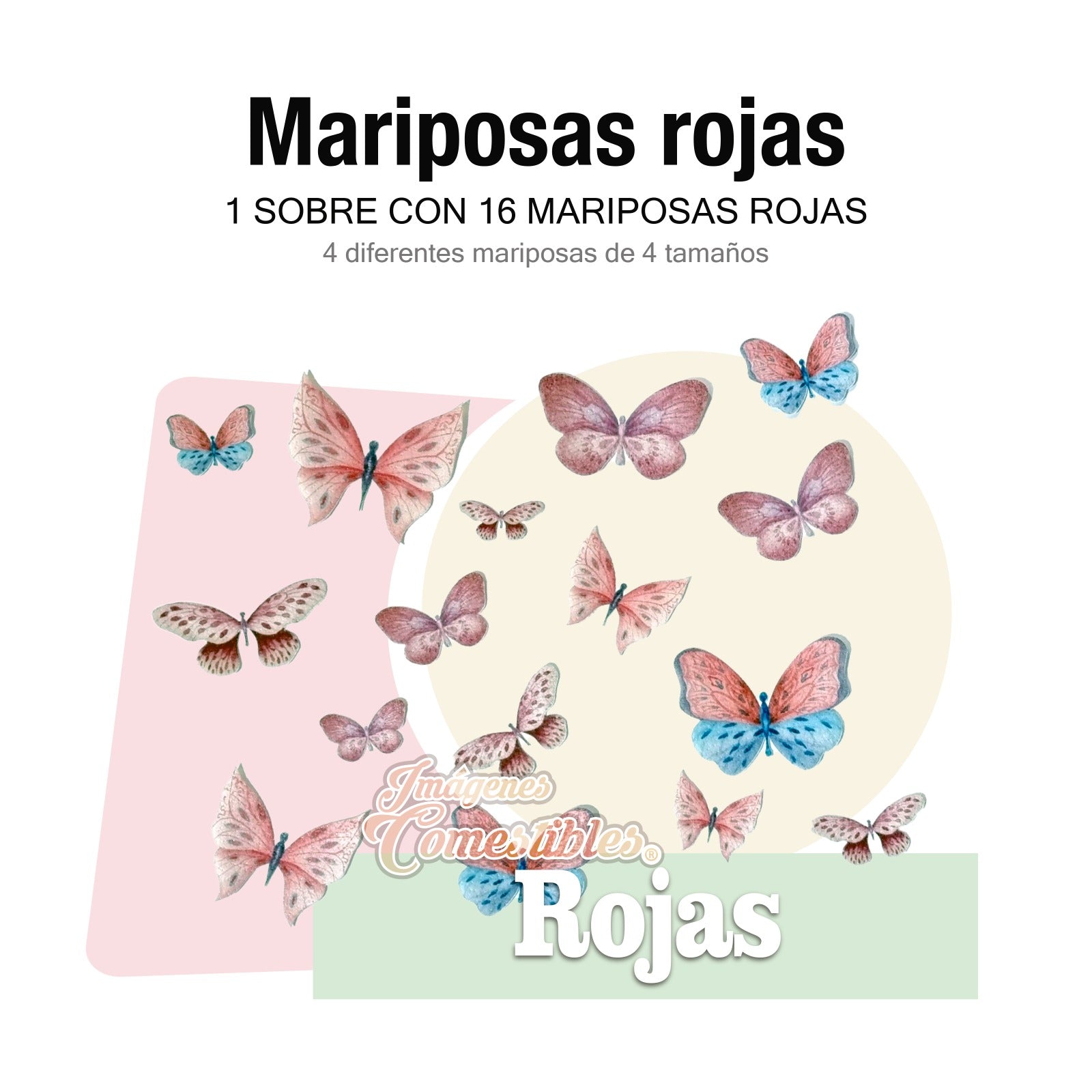 16 mariposas diferentes colores