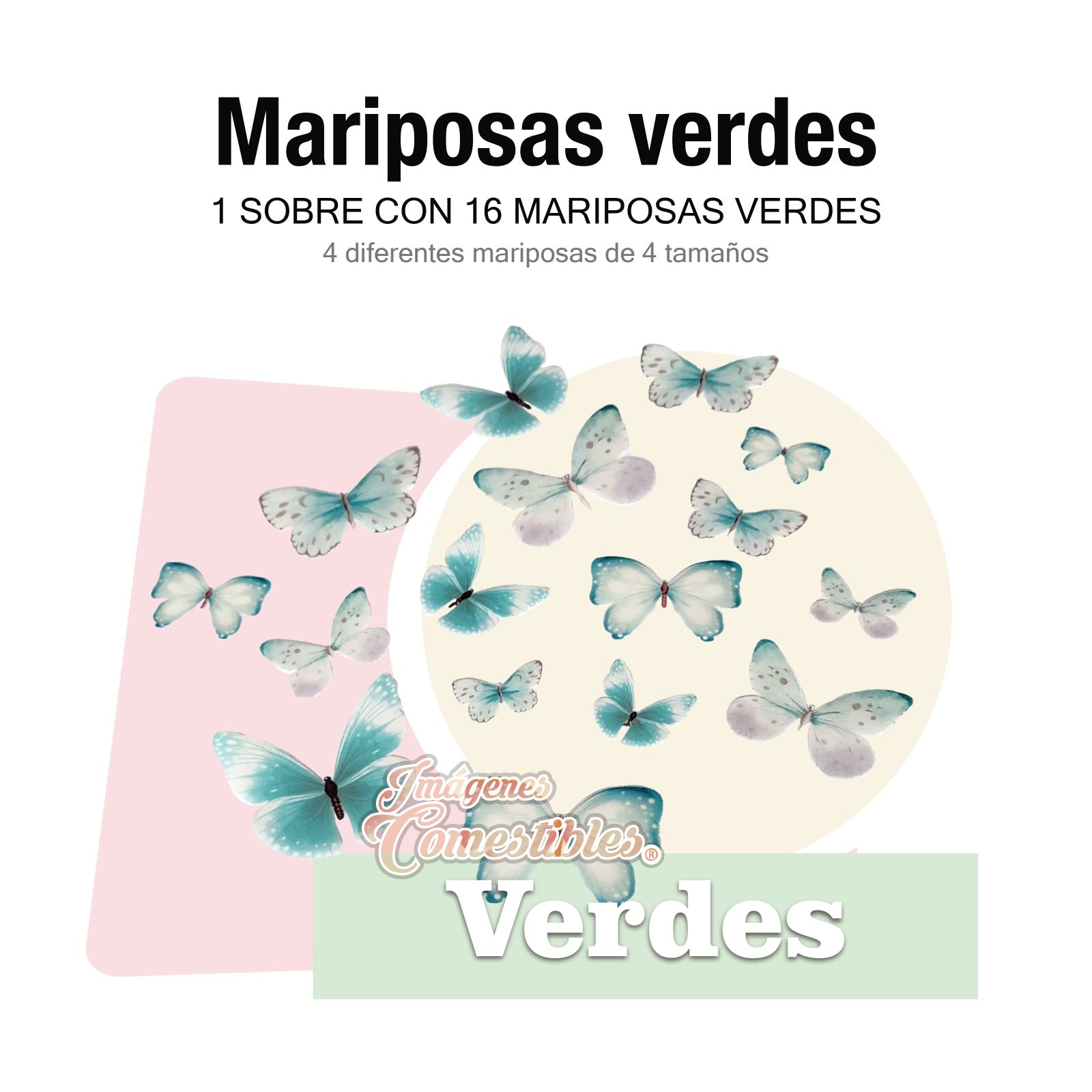 16 mariposas diferentes colores