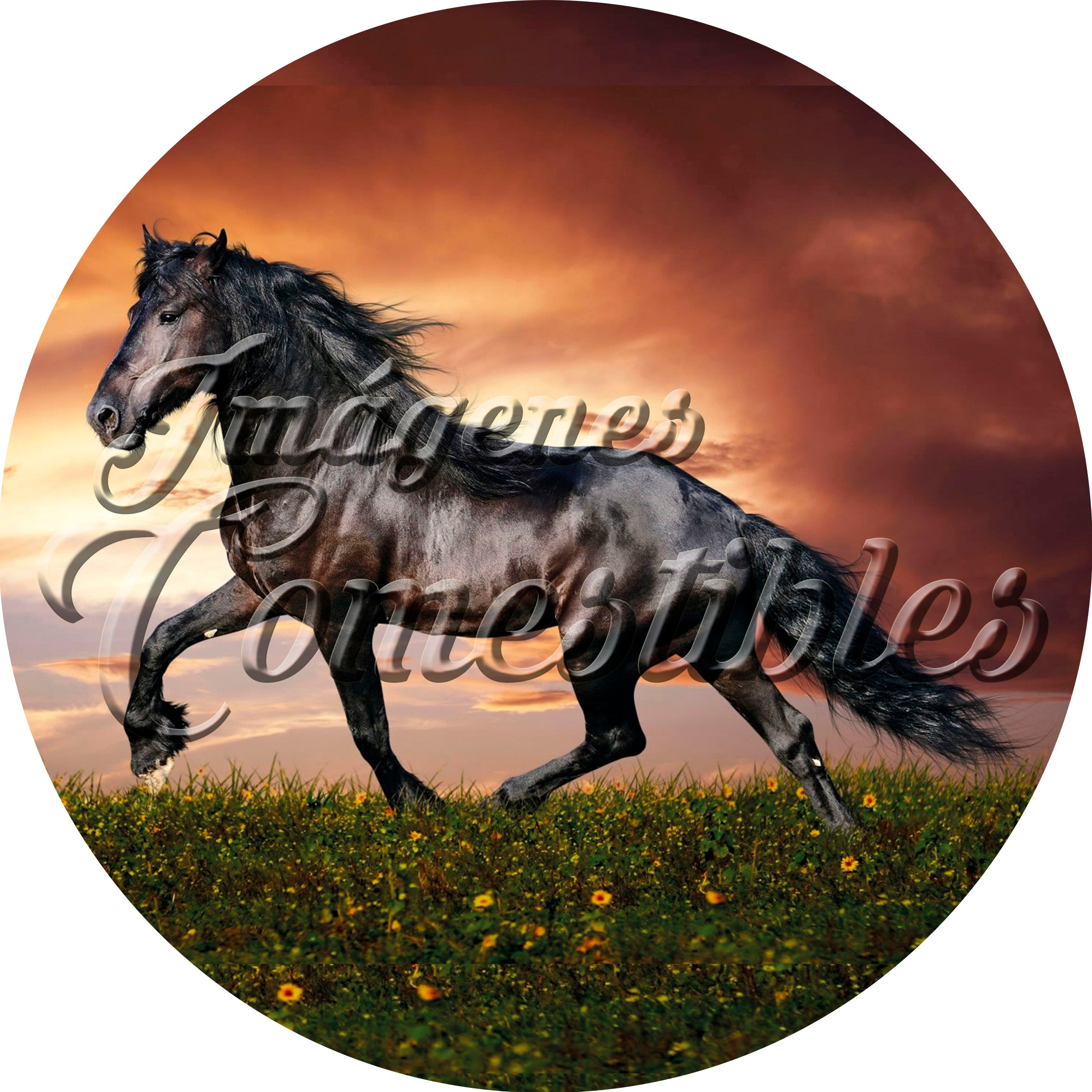 Oblea comestible - Caballo-2